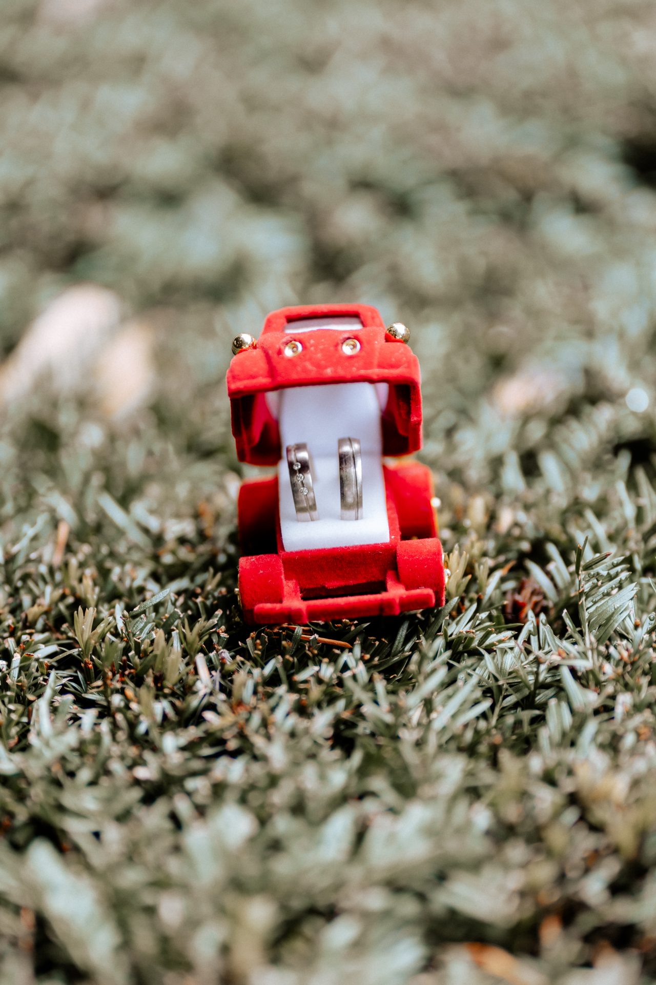 Rote Ringschachtel im Gras (2022)